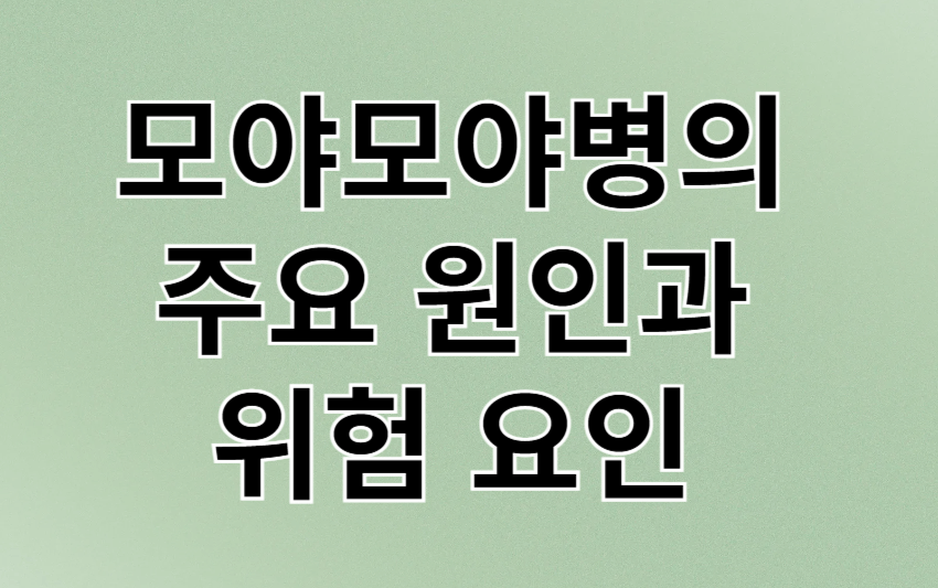 모야모야병의 주요 원인과 위험 요인