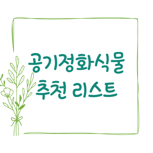 🌱 집안 공기를 맑게! 공기정화식물 추천 리스트