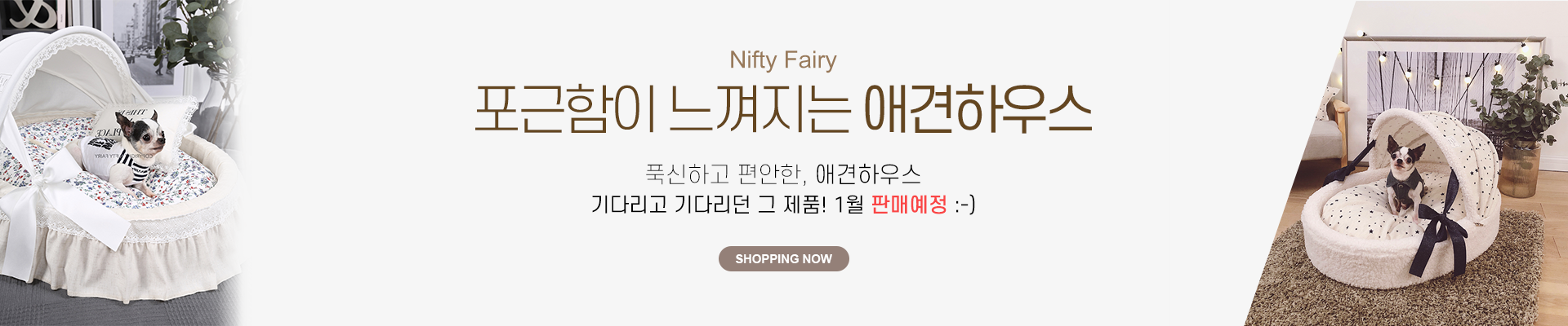 스토어팜 대문 디자인 : 늘 2