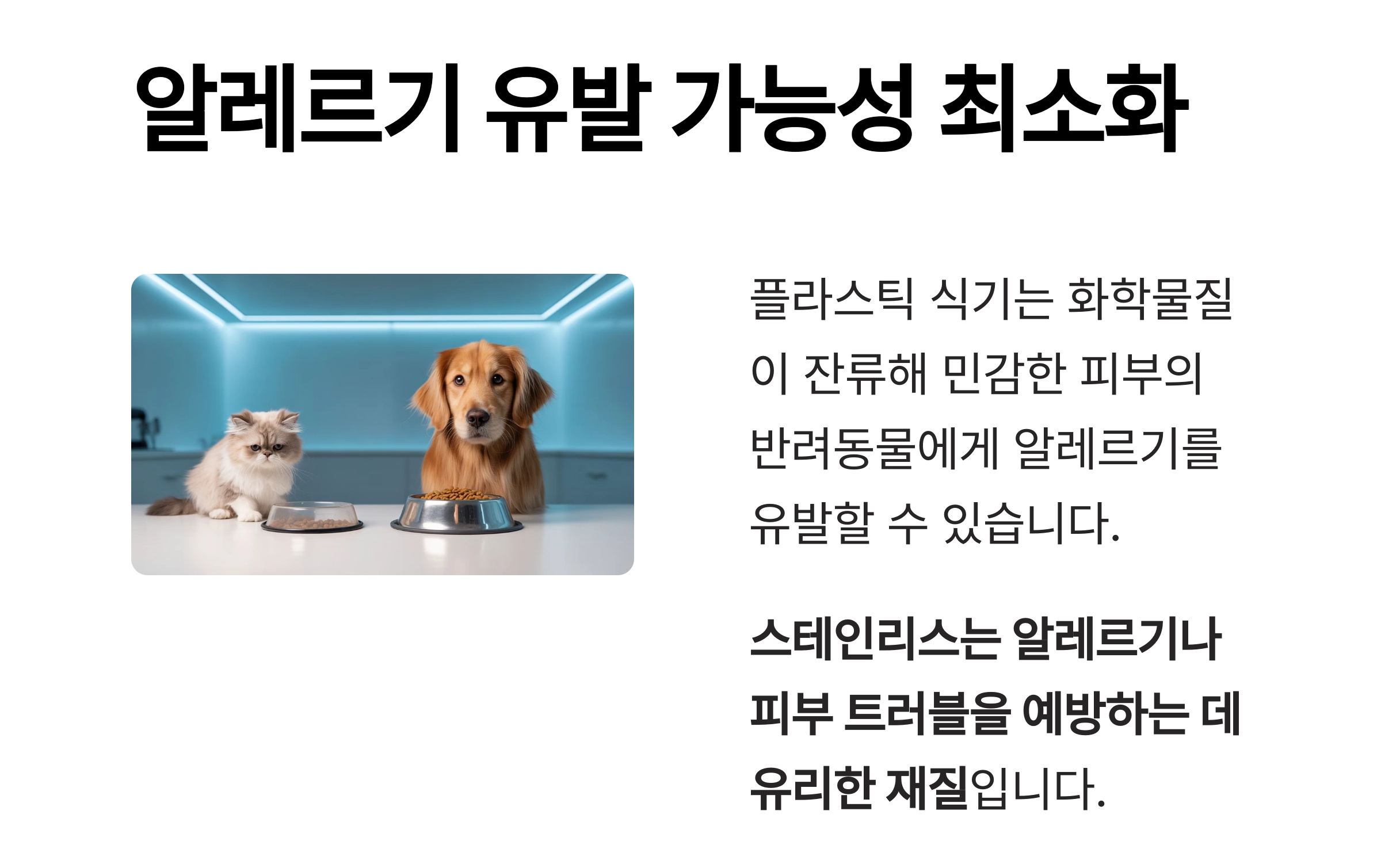 반려동물 건강을 위한 최고의 선택, 스테인리스 식기 추천 이유