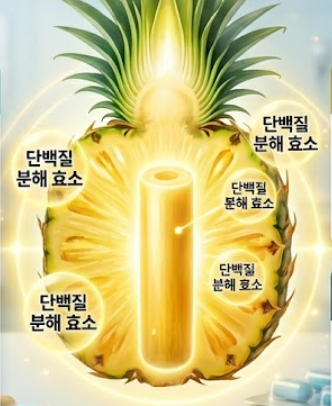 브로멜라인 효능