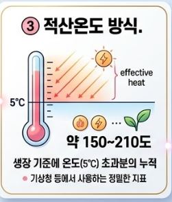 전국 벚꽃 개화시기
