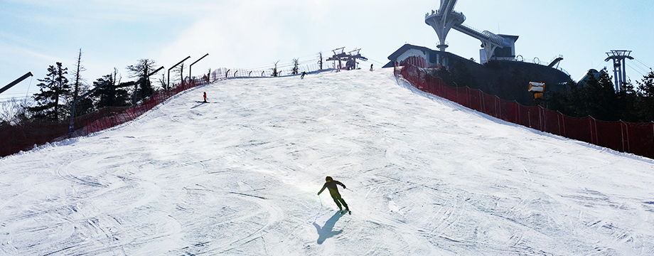 용평리조트 스키장, 용평리조트 시즌권 완벽 가이드, X5 시즌패스