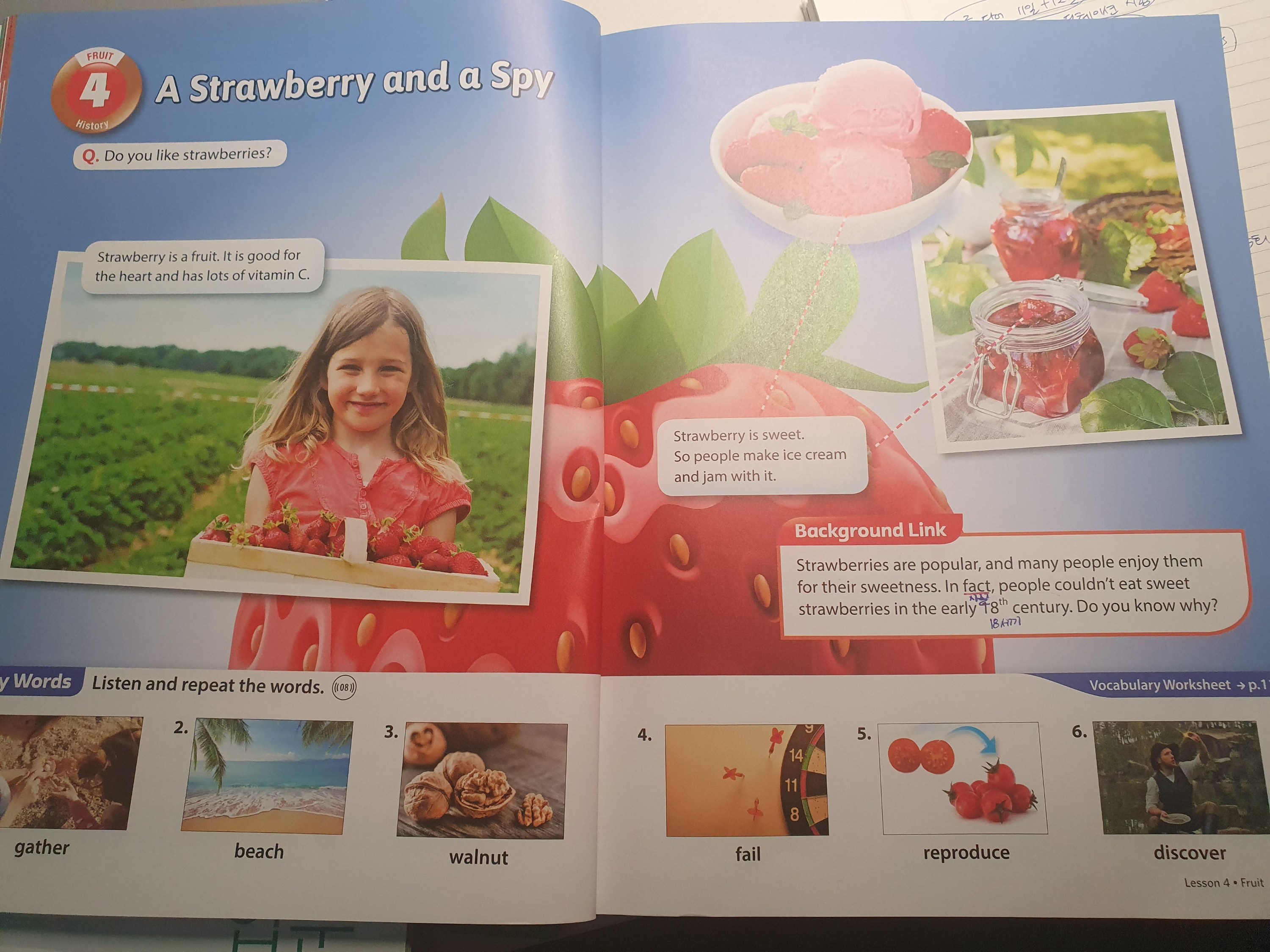 인사이트 링크 교재