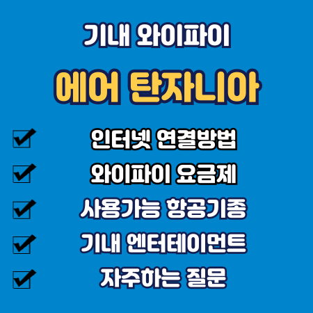 에어 탄자니아 기내 와이파이