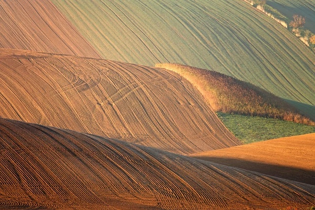 소방시설관리사 응시자격과 취득방법