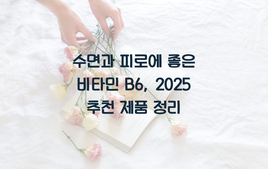 수면과 피로에 좋은 비타민 B6, 추천 제품 모음