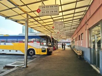 거창시외버스터미널 시간표 예매 조회 실시간 정리_16