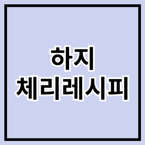 🍒 하지 제철! 상큼한 체리로 즐기는 여름 레시피 모음 🌞🍽️