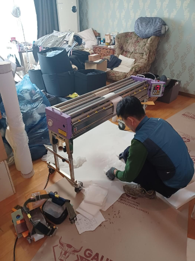 도배