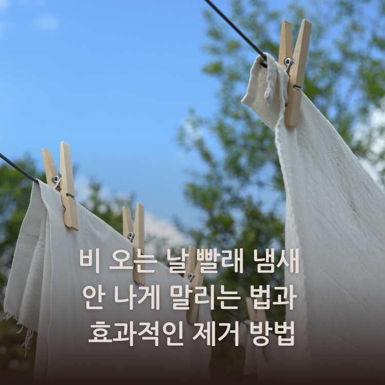 빨래-줄에-걸려있는-흰색-빨래들
