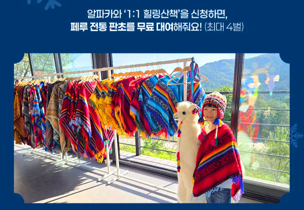 홍천 알파카 월드