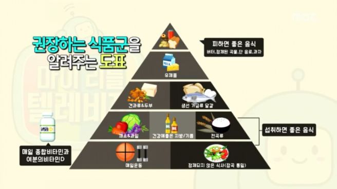 홍혜걸 프로필