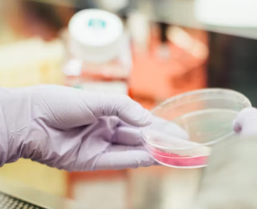 암보험 비교사이트 가격 추천상품