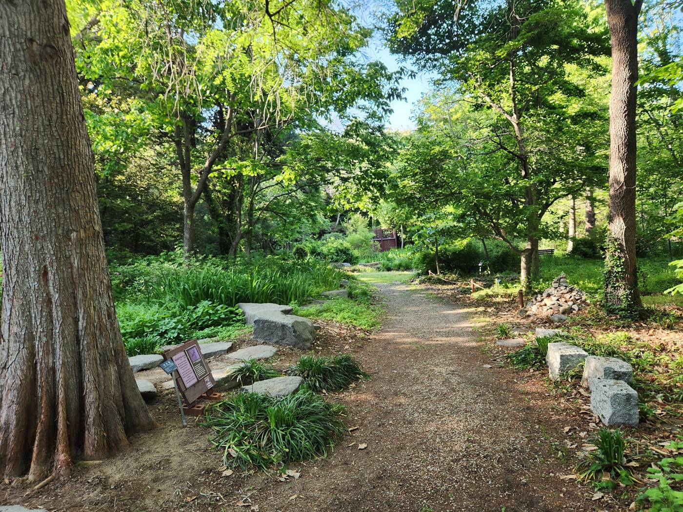 포항 기청산식물원