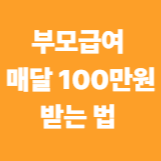 부모급여 매달 100만원 받는 법