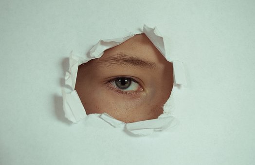 눈과-겉눈썹-속눈썹의-모양