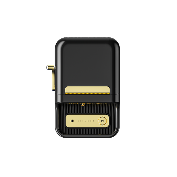 NIIMBOT B21