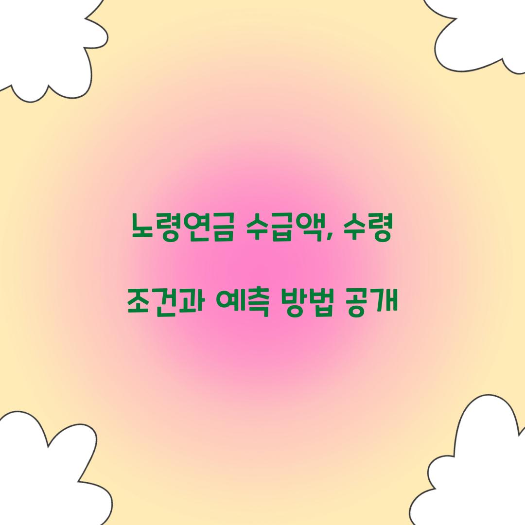 노령연금 수급액