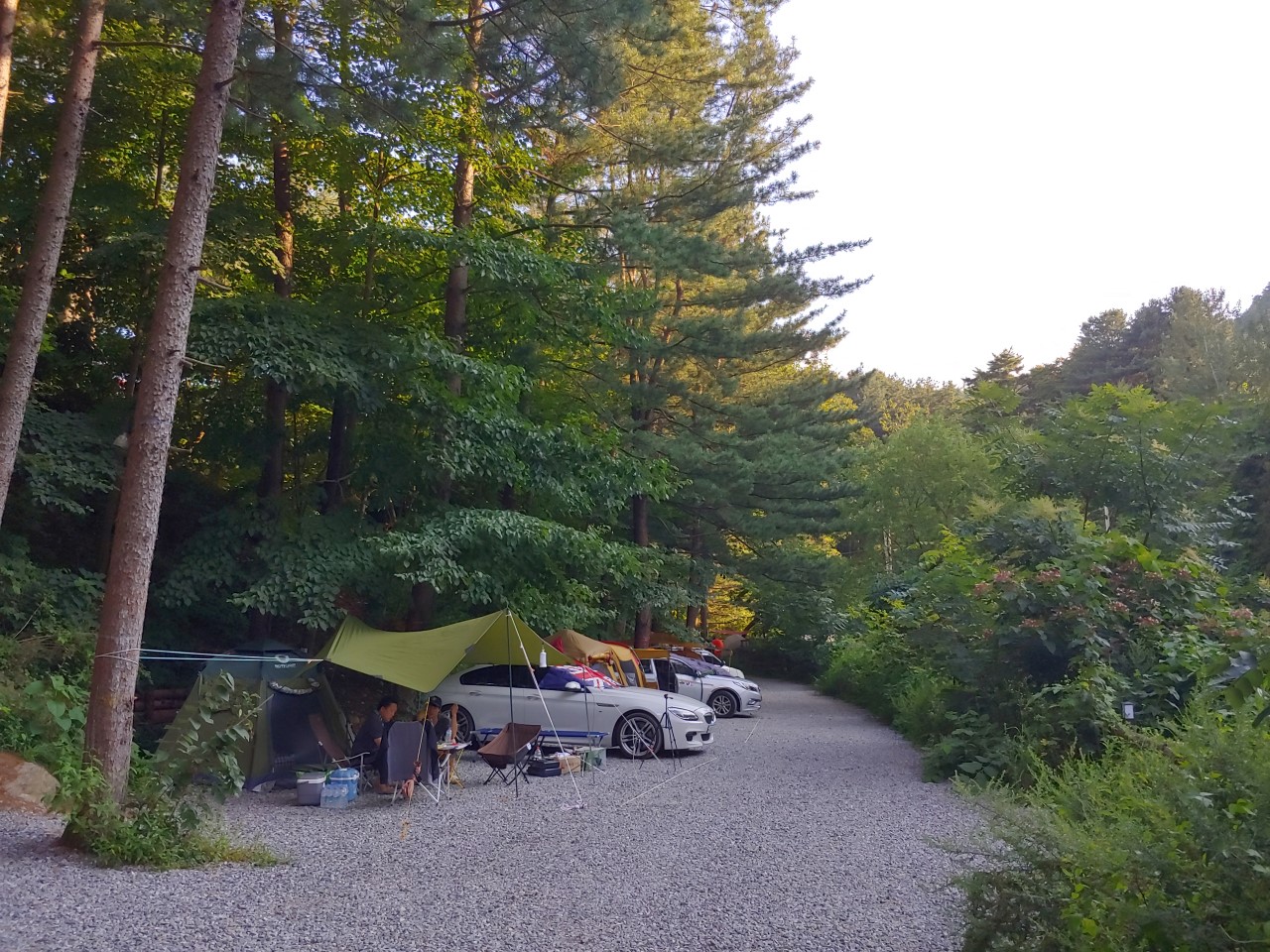 힐링별밤수목원캠핑장_외부