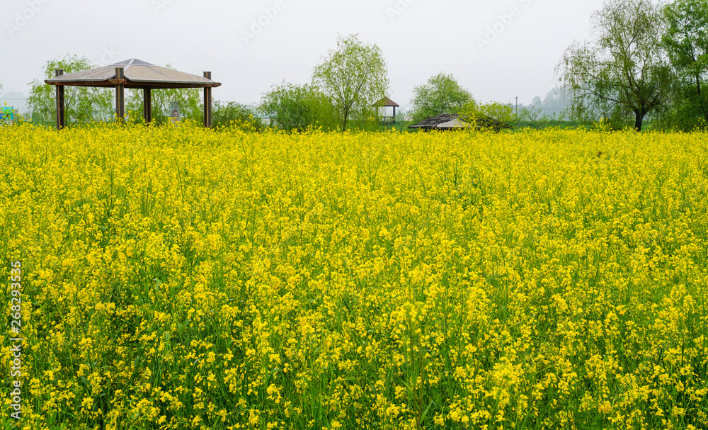 5월에도 사람 적은 국내 조용한 힐링 여행지 TOP 5