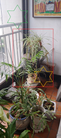 주-1~2회-물주기를-해야-했는데&amp;#44;-나비란이-시들고-있었다