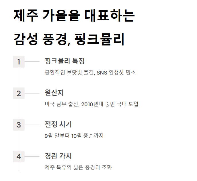 제주 핑크뮬리 축제&amp;#44; 가을 감성 느낌 100%