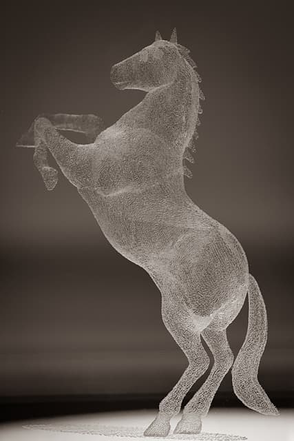 미디어와 인간 감각의 변화 : 디지털 이미지와 시각적 지각