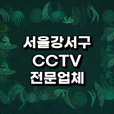 서울 강서구 cctv