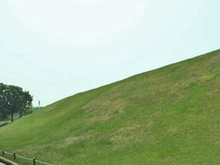 2025년 을사년 새해 해돋이 명소 top10