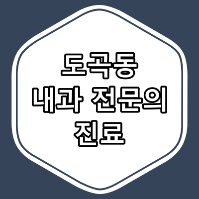 서울시 강남구 도곡동 내과 전문의 진료 하는 동네 병원