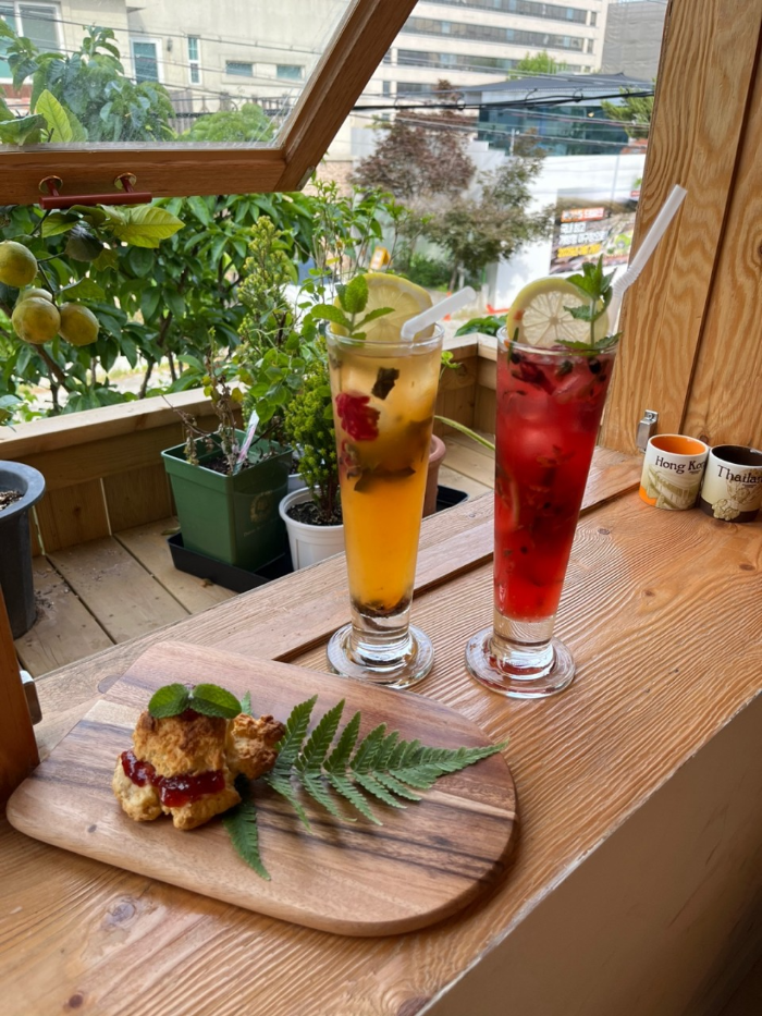 봉봉농원 묘목카페 생방송 오늘 저녁