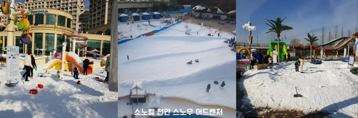 소노벨 천안 스노우어드벤처 사진