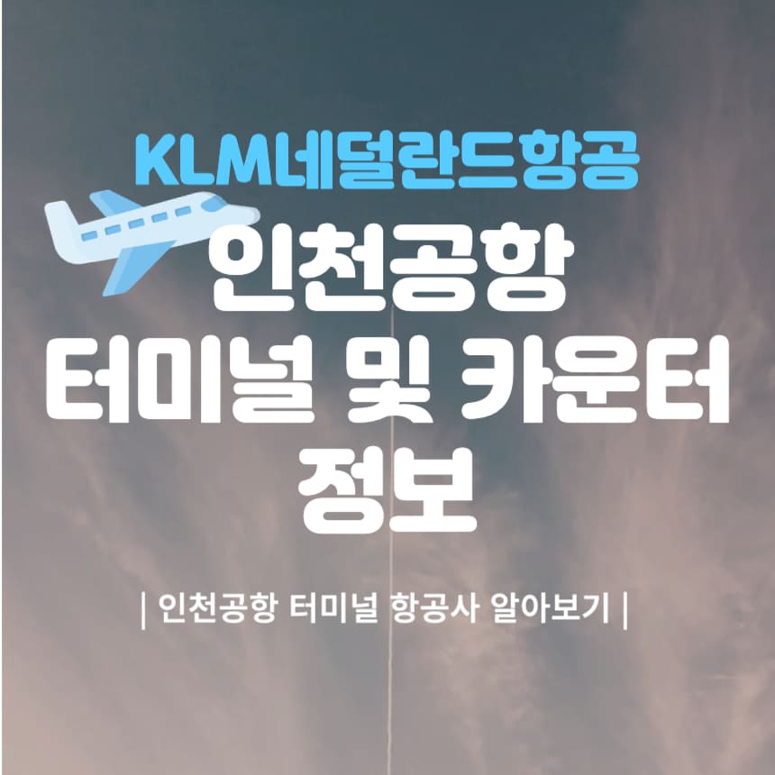 대표-이미지