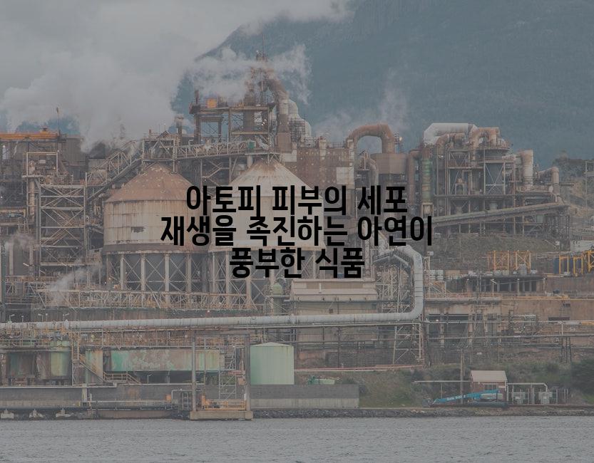 아토피 피부의 세포 재생을 촉진하는 아연이 풍부한 식품