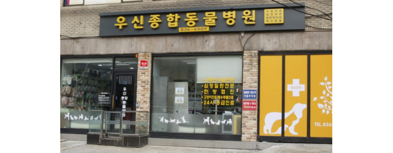 서울 영등포구 동물병원