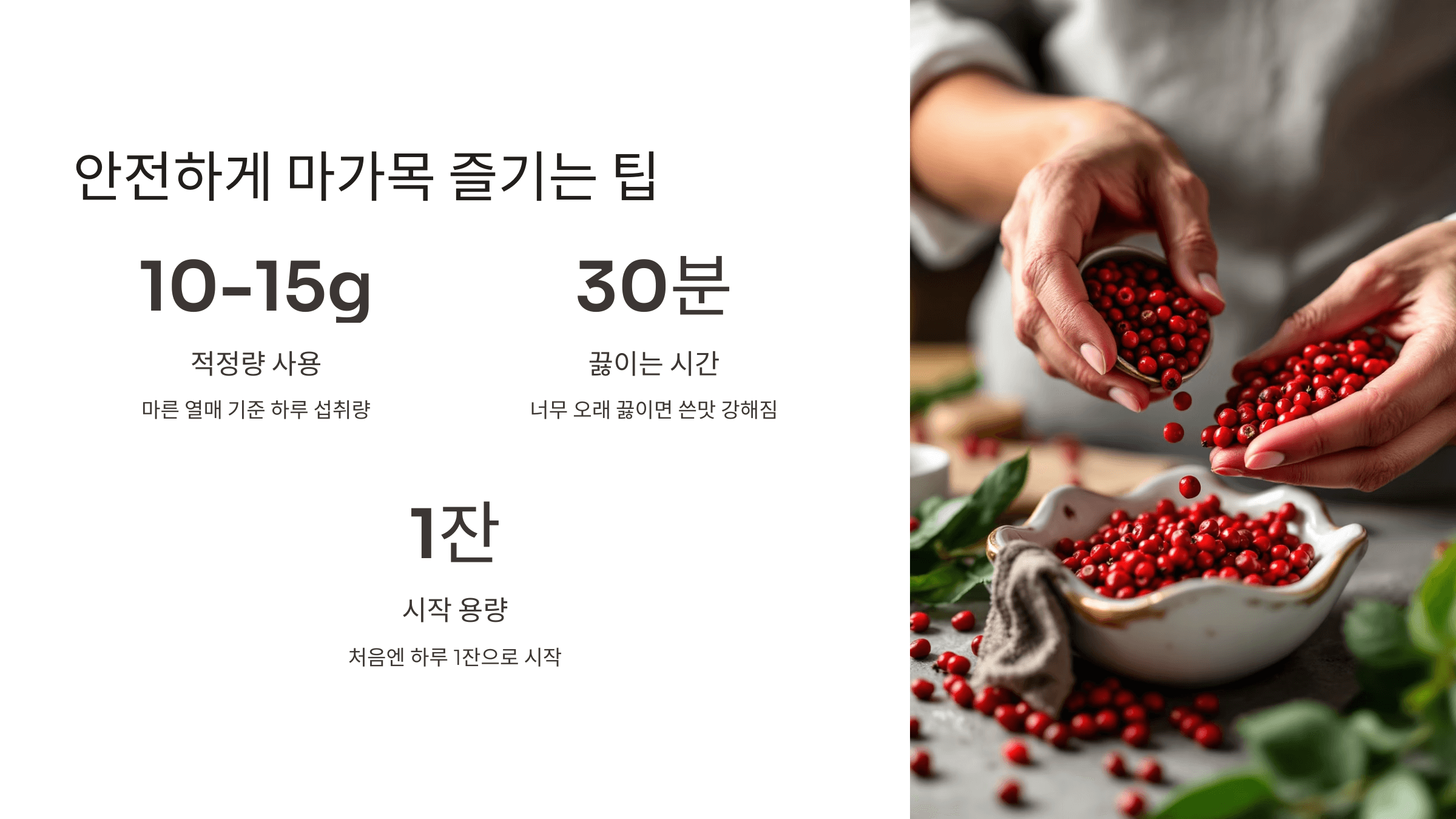 마가목 사진입니다.