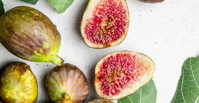 9월 제철 음식, 9월 제철 해산물