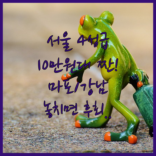 서울 10만원대 4성급 가성비 호텔 ..