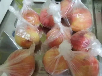 복숭아 보관방법과 싱싱하게 유지하는 팁_9