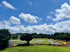 끌어당김을 방해하는 가장 큰 습관