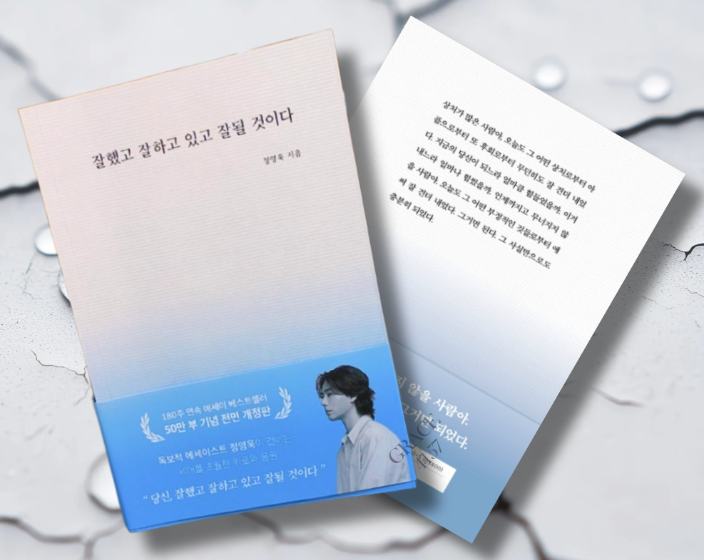 책 / 잘했고 잘하고 있고 잘 될 것이다