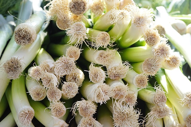 대파