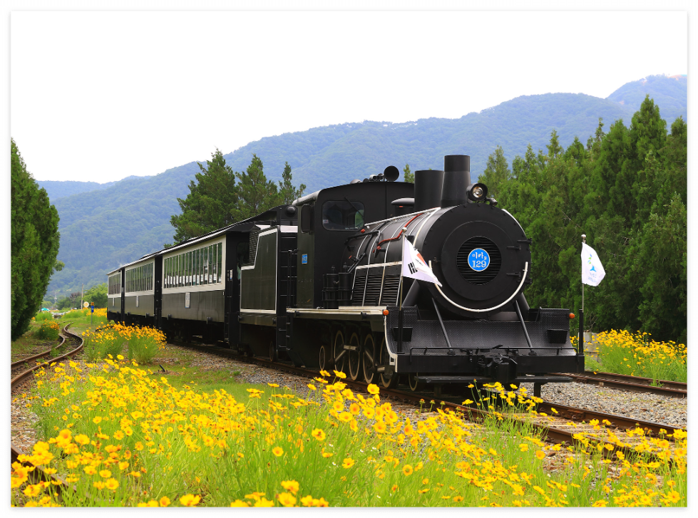 곡성기차마을 증기기관차 측면 사진