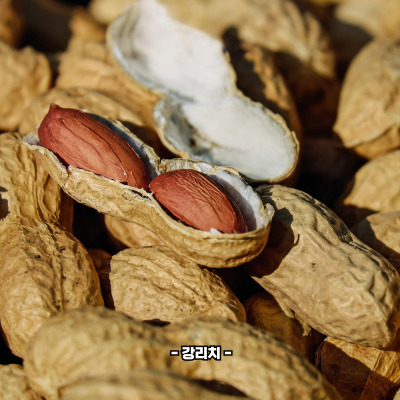 땅콩 부작용