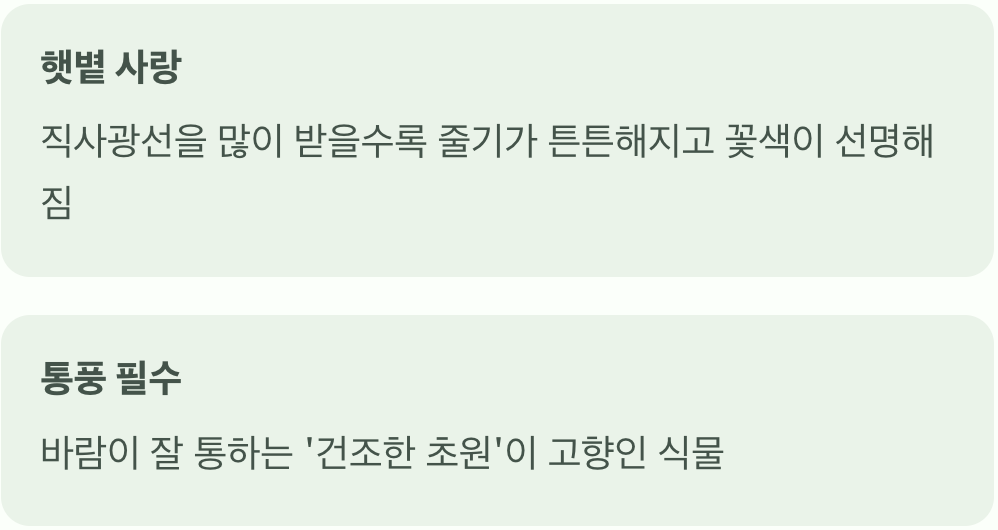 '햇볕'과 '바람', 최고의 보약