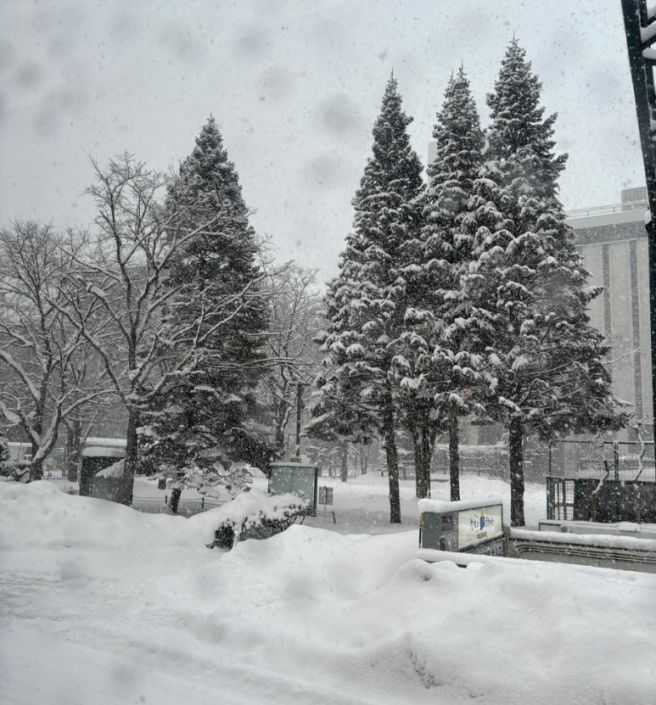 삿포로 결제 수단