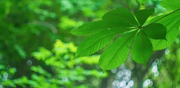 제로웨이스트 도시 재생과 순환 경제 기반의 지역 혁신