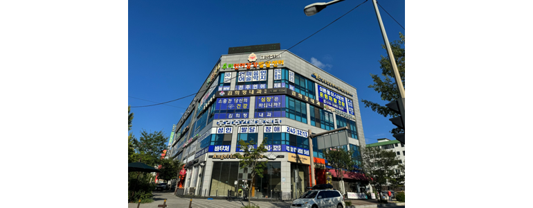 전주 덕진구 내과