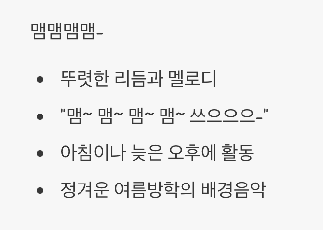 3. 여름의 클래식&amp;#44; 참매미 (맴맴맴맴-)